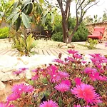 Palmer I Beachhouse Hotel Peguera