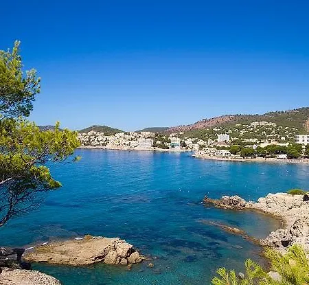 Hotel Palmer I Beachhouse Peguera