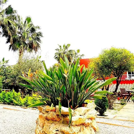 Pensión Palmer Peguera