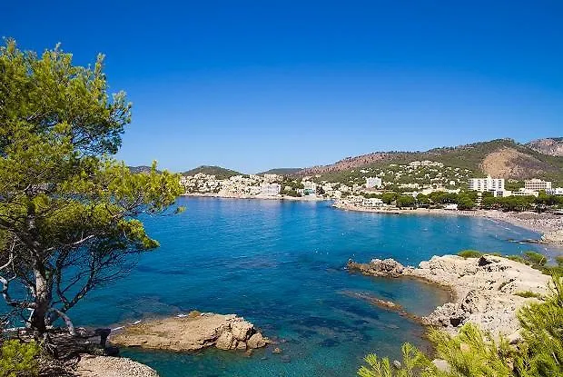 Szálloda Palmer I Beachhouse Paguera